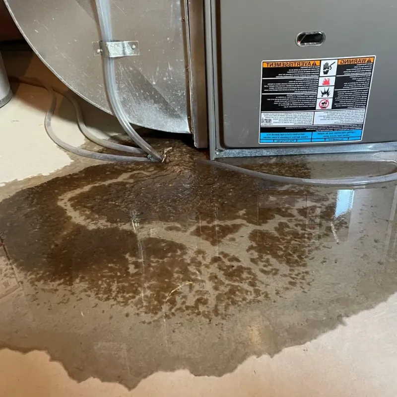 Pipe Burst and Leak Restoration in Hickory Hills, IL