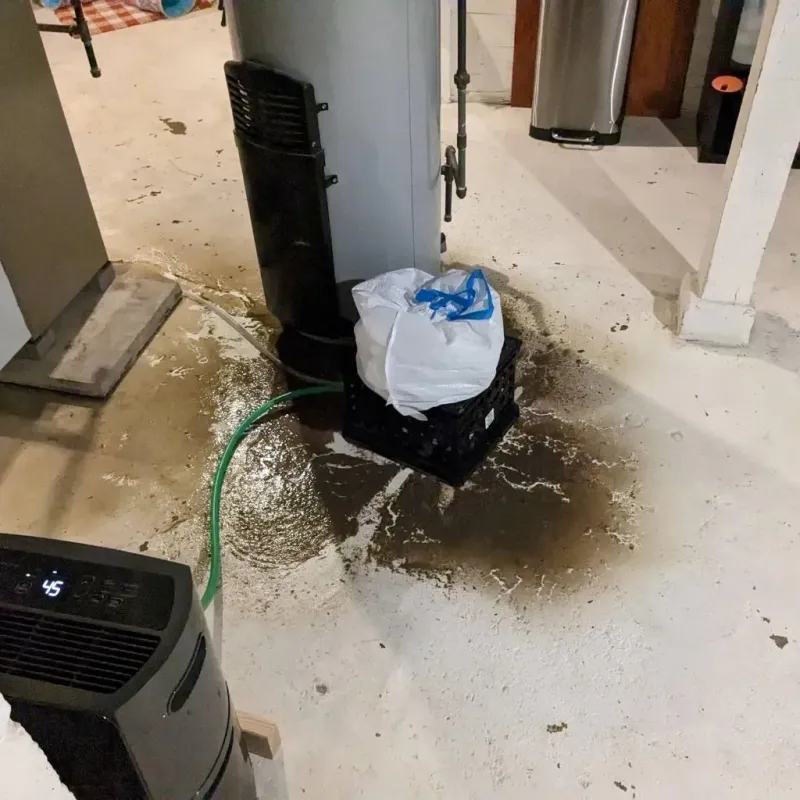 Sewage Backup Cleanup Service in Hickory Hills, IL